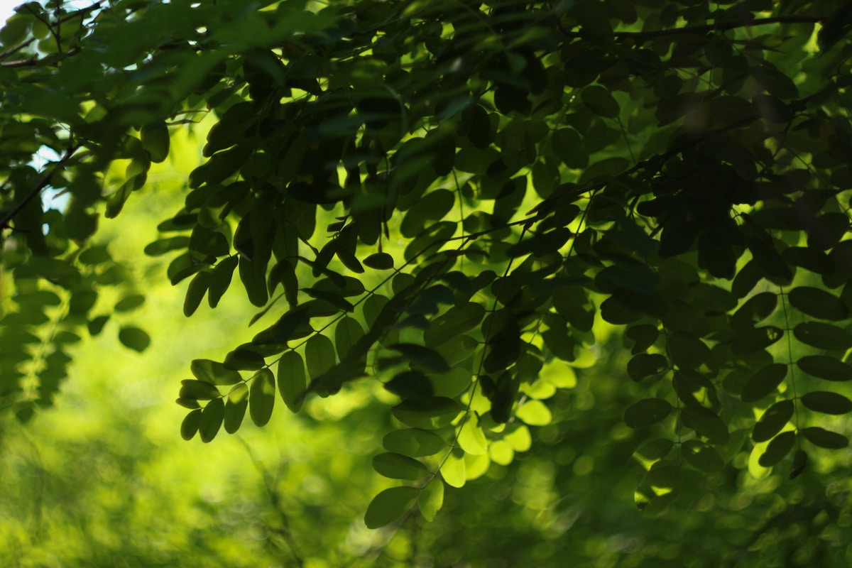 Sustainability in Beauty Products